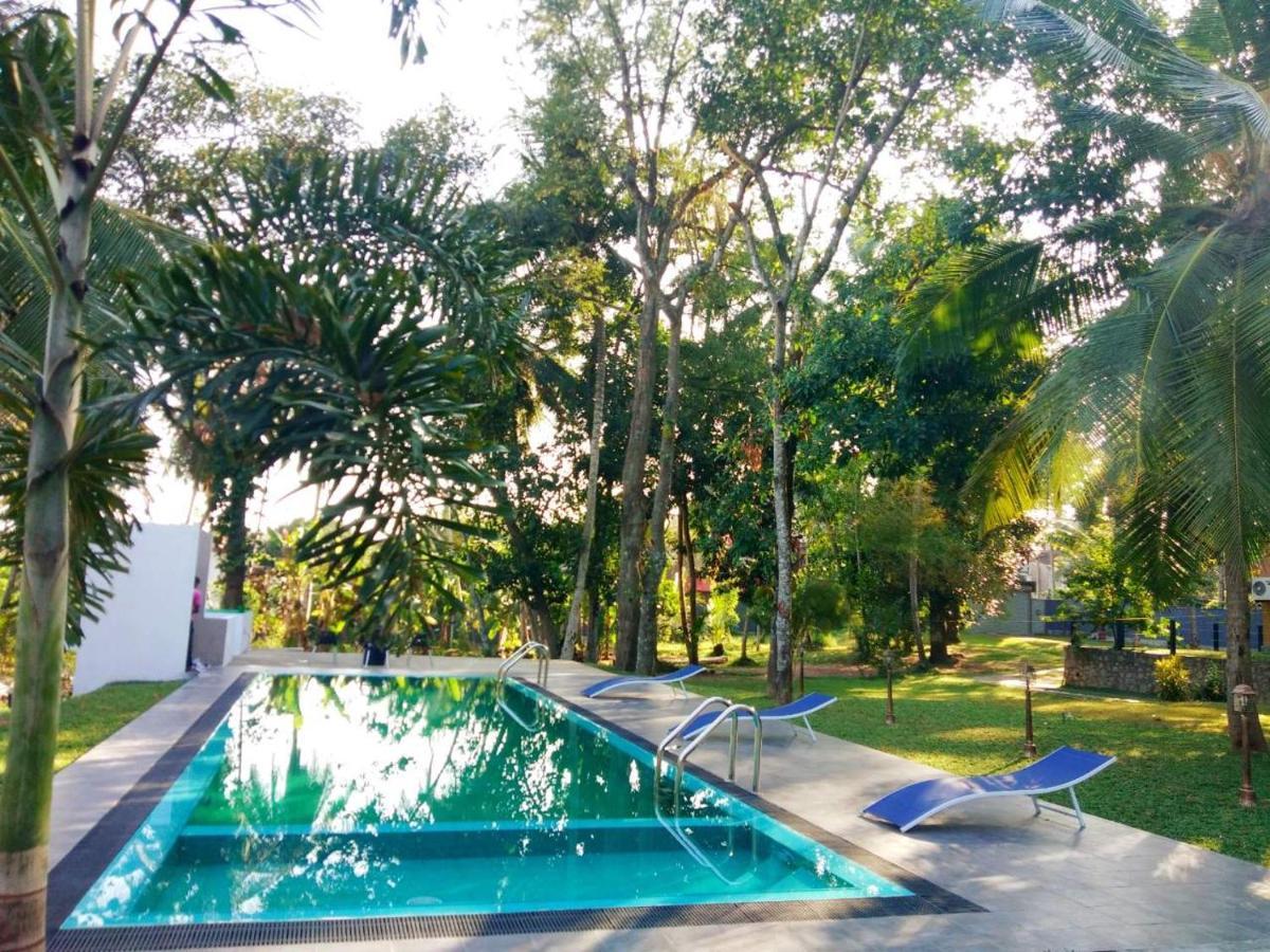 Temple Pond Villa Colombo Piliyandala Dış mekan fotoğraf